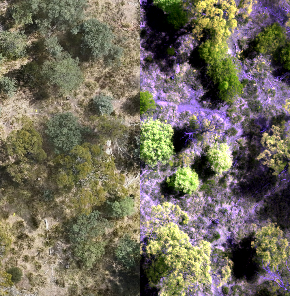RGB to multispectral composite