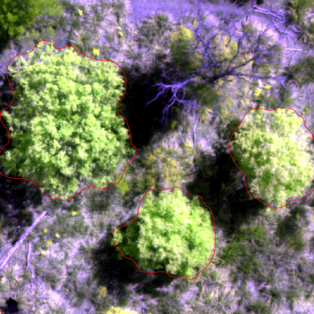 Segmentation example