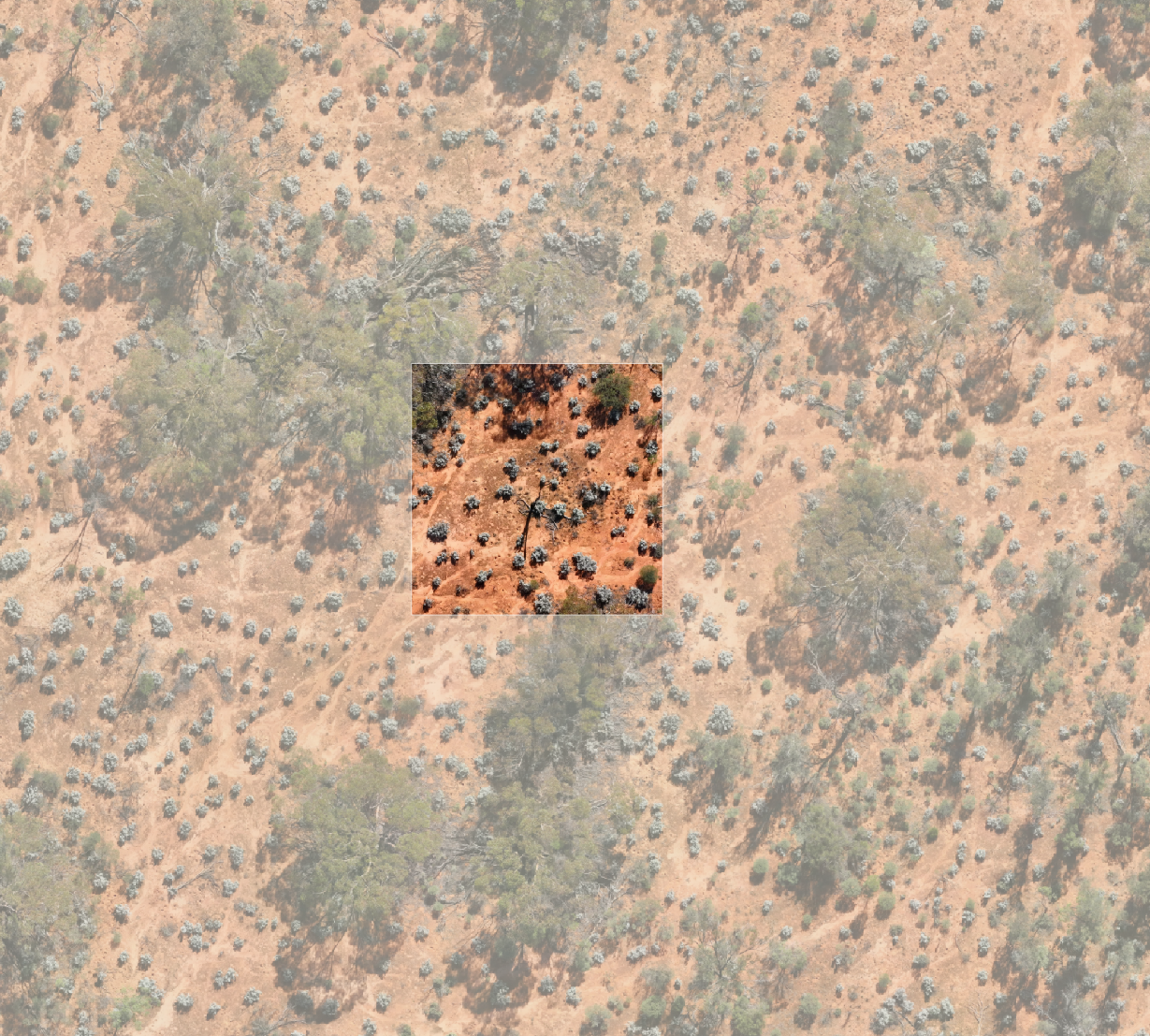 Orthomosaic tiling diagram